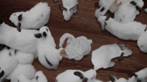 트와이스 김다현 | 인스티즈