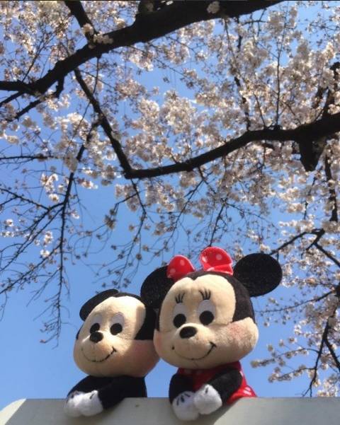 조신하게 앉아있는 인형들 | 인스티즈