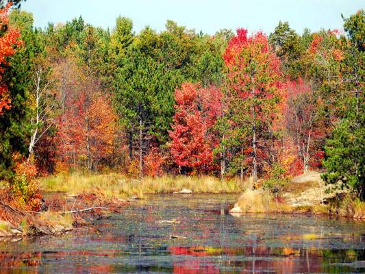 4계절 중에서 가장 좋아하는 계절은? | 인스티즈