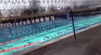 당신이 수영장에 있을 때 지진이 일어난다면....gif | 인스티즈