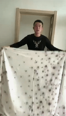 늦둥이 여동생에게 마술 가르치는법.gif | 인스티즈