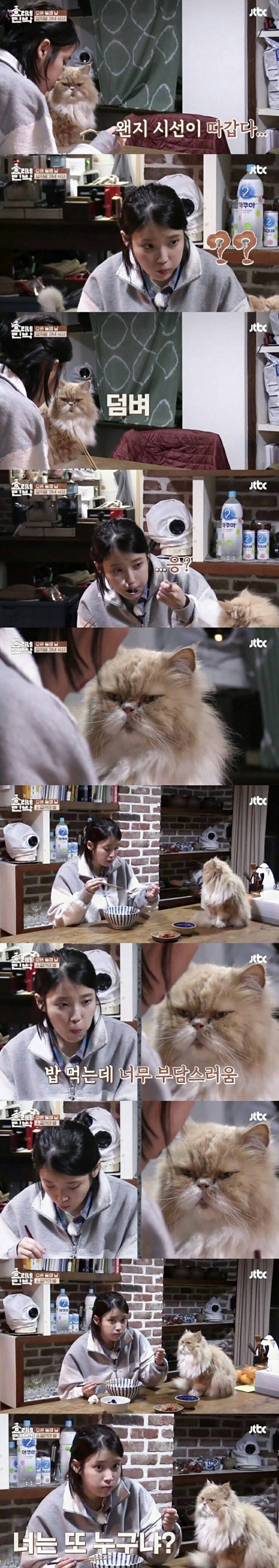 아이유 팬미팅에 도착한 이상한 화환 | 인스티즈