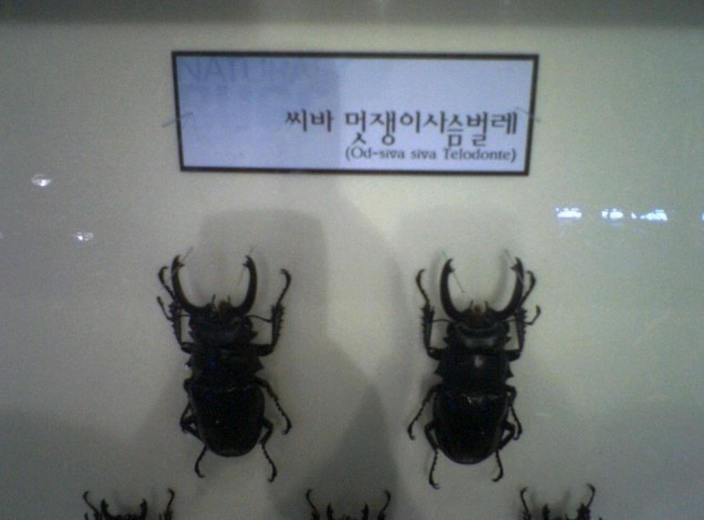 내가 그냥 벌레라고 생각하니? | 인스티즈