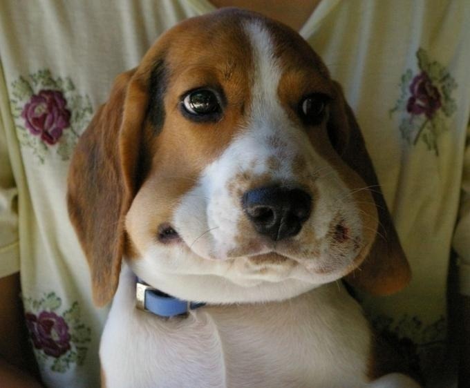 흔한 유학생들의 유학생활 | 인스티즈