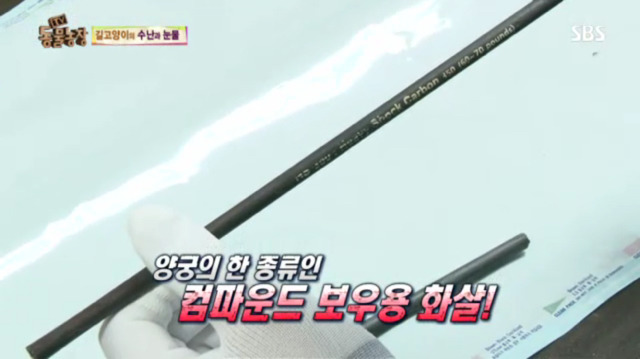 고양이에게 화살 쏜 남자 (이거보면 빡쳐서 잠 못잠) | 인스티즈