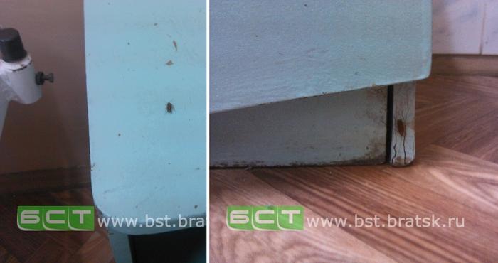  러시아의 병원 실상을 알아보겠습니다 | 인스티즈