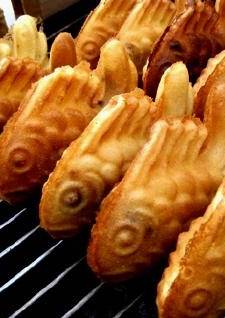 흔한 유학생들의 유학생활 | 인스티즈