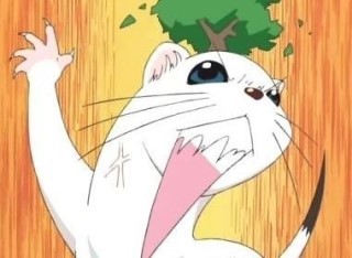 족제비.gif | 인스티즈