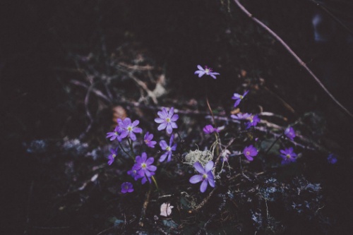 그때까지 사랑이여,내가 불멸이 아니어서 미안하다 | 인스티즈