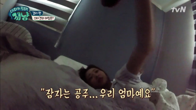 [대화가필요한개냥] 나인뮤지스 경리와 사랑스러운 반려견 시로.jpg | 인스티즈