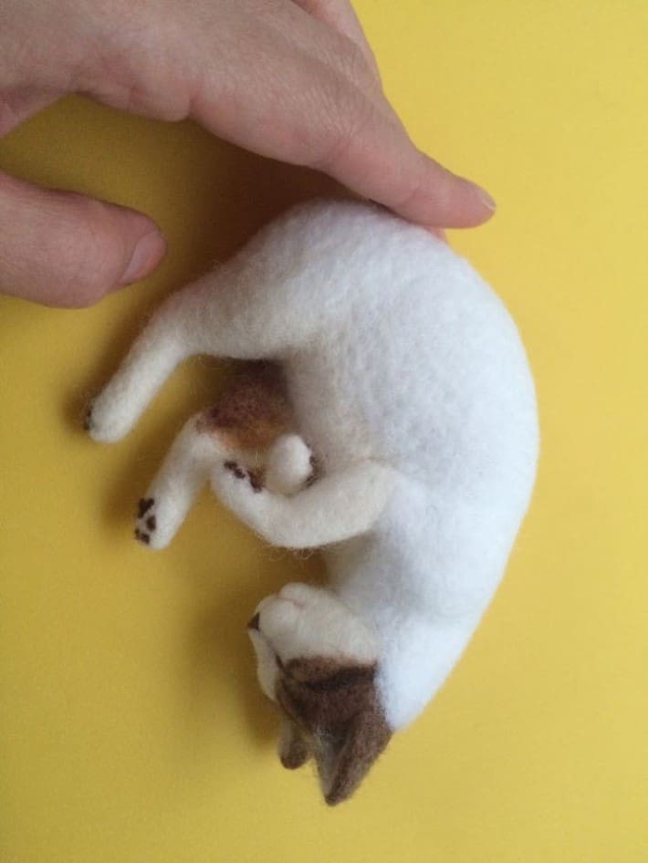 고양이 털로 만든 고양이 | 인스티즈