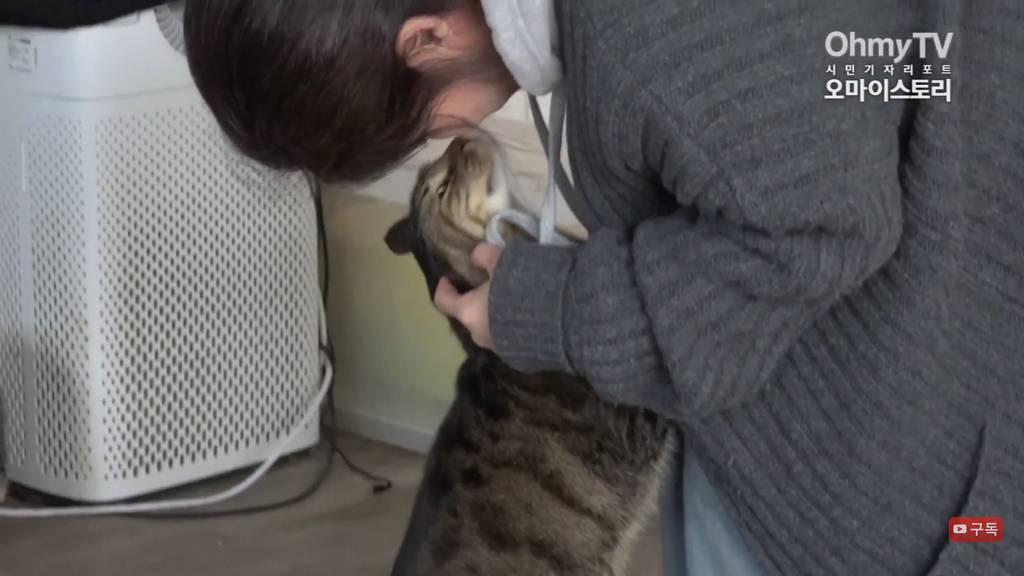 마산 애니멀 호더에게서 구조한 50여마리의 고양이들에게 손길을 내밀어주세요! 곧 쉼터가 폐쇄되어 아이들이 갈 곳이 없습니다 | 인스티즈