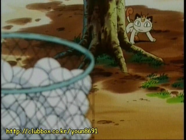 [포켓몬] 나옹이의 가나다라마바사 | 인스티즈