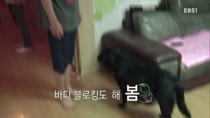 [세나개] 강형욱 훈련사의 팬인 봄이의 보호자들.jpg | 인스티즈