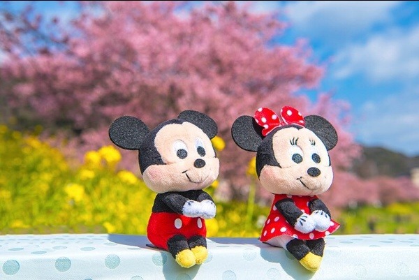 조신하게 앉아있는 인형들 | 인스티즈