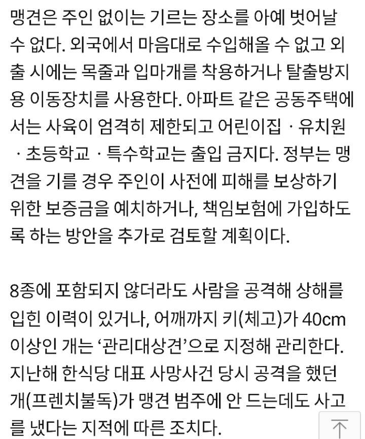 어깨높이 40cm 이상인 개 입마개 의무…사망 사고시 3년이하 징역&#183;3000만원 이하 벌금 | 인스티즈