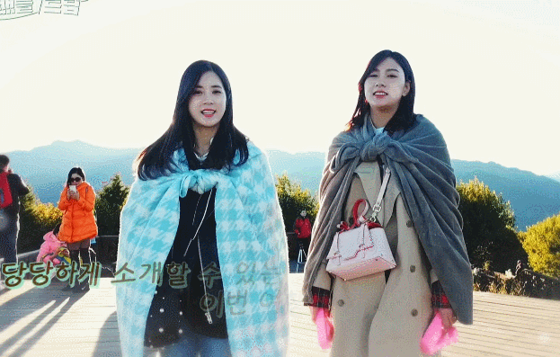 에이핑크 머드롱냥이 with 하영 | 인스티즈