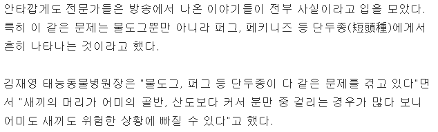 불독의 안타까운 사실 | 인스티즈