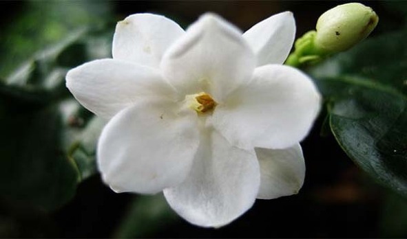 세계의 이상한 법 | 인스티즈