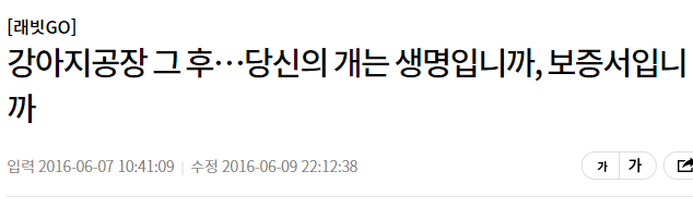 불독의 안타까운 사실 | 인스티즈