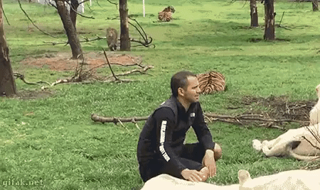 내 밥 건들지마.gif | 인스티즈