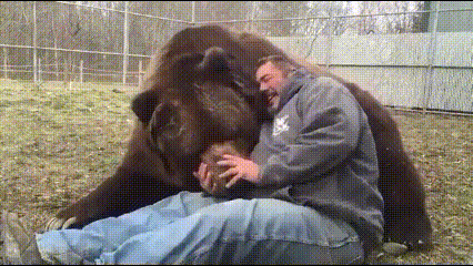 곰과 아저씨 | 인스티즈