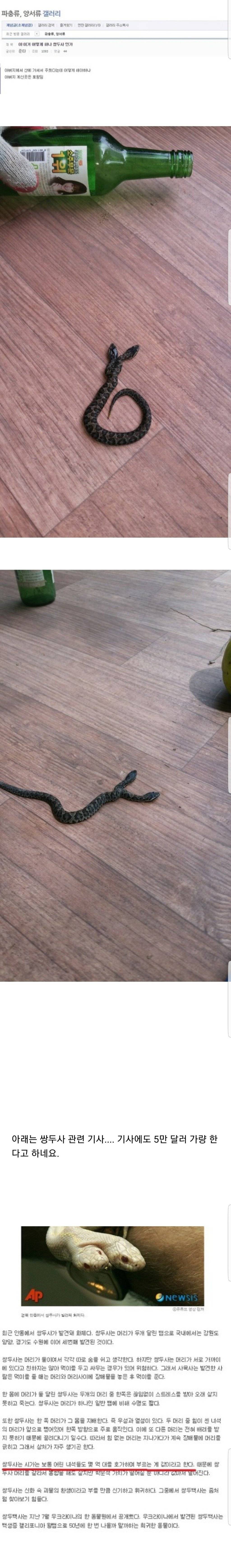 쌍두사를 주워온 아버지 | 인스티즈