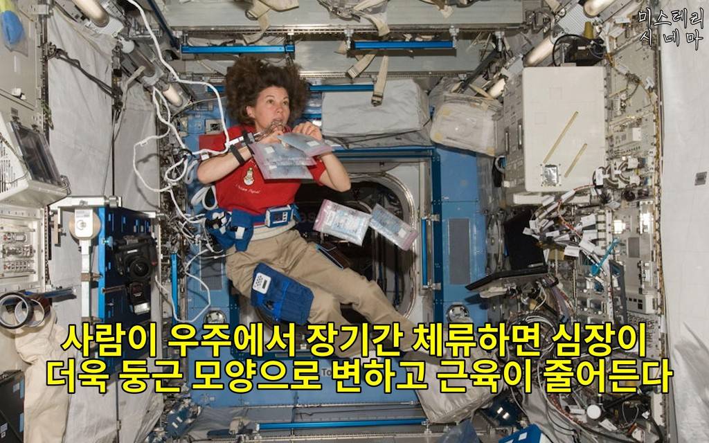 우주에 대해 몰랐던 사실들 (1) | 인스티즈