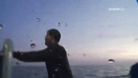 전세계 수족관에 백상아리가 없는 이유.jpgif | 인스티즈