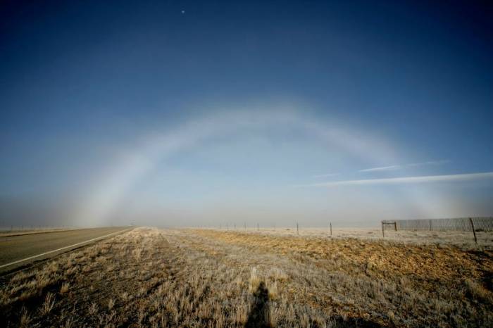 특이한 무지개들 | 인스티즈