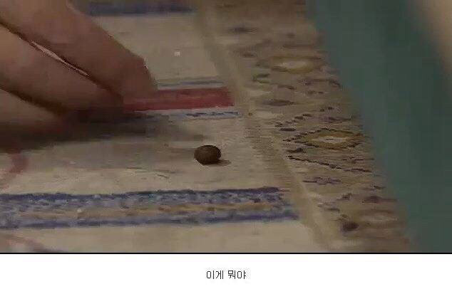 다시보는 레전드 토끼사건 | 인스티즈