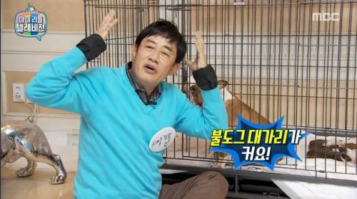 불독의 안타까운 사실 | 인스티즈