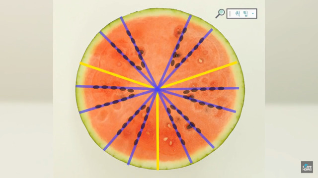 수박의 계절 여름.. 수박씨 쉽게 발라 먹는 방법 🍉 | 인스티즈