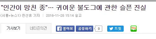 불독의 안타까운 사실 | 인스티즈