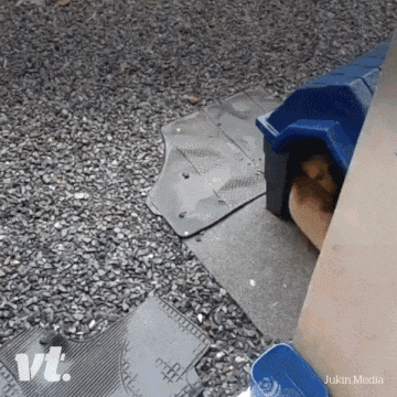 쉐어 하우스 | 인스티즈