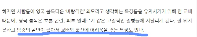 불독의 안타까운 사실 | 인스티즈