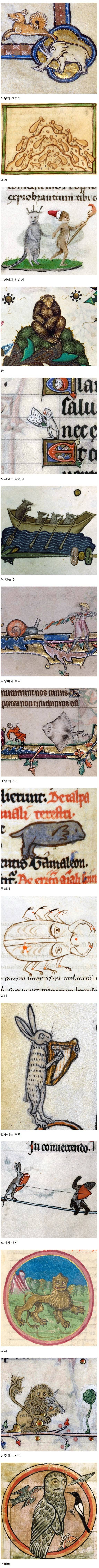 중세시대 삽화가들이 묘사한 동물.jpg | 인스티즈