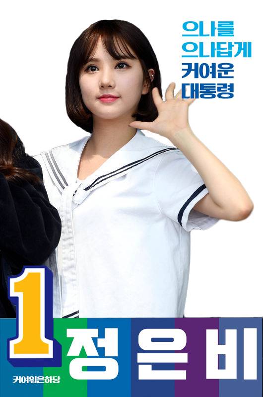 아이돌 갤러리 대선시즌때면 하는거 .jpg | 인스티즈