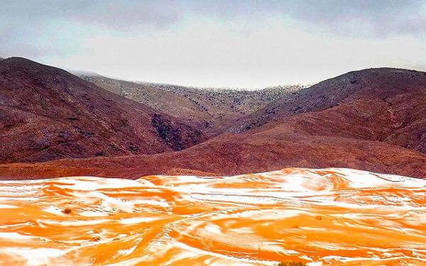 왠지 맛잇어 보이는 사막 | 인스티즈