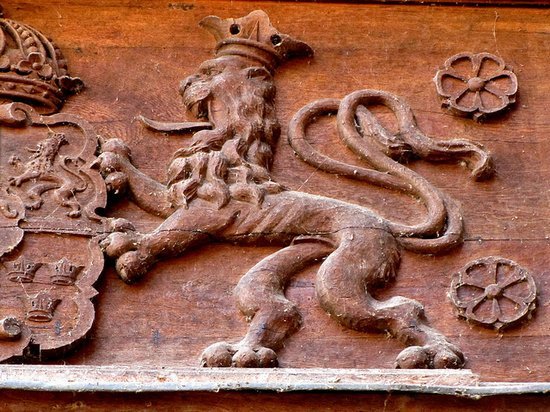 300년된 사자 박제 | 인스티즈