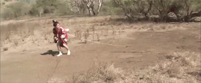 흔한 일본의 예능.gif | 인스티즈