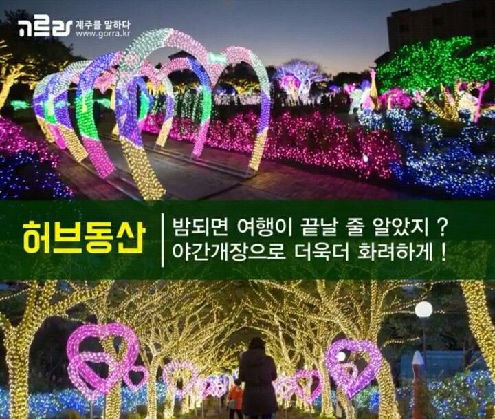 제주 겨울 여행지 12.jpg | 인스티즈