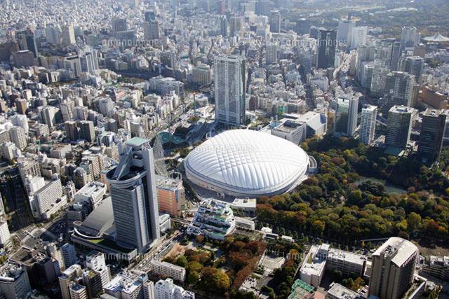 거대한 일본 도쿄돔 | 인스티즈