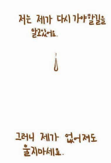 강아지와 주인의 이별법 | 인스티즈