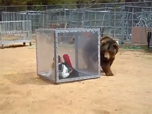 흔한 일본의 예능.gif | 인스티즈