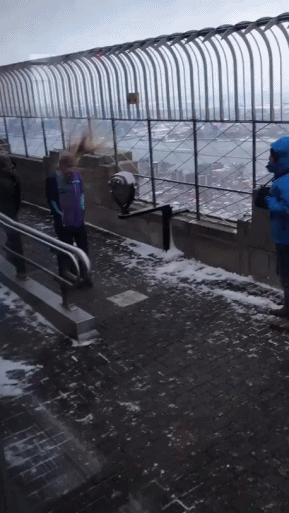 대나무 헬리콥터 | 인스티즈