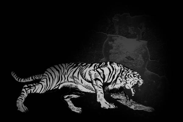 검찰간부 술집에서 폭행한 폭력조직 | 인스티즈