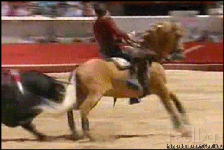 최소 300억 이상의 명마(名馬) | 인스티즈