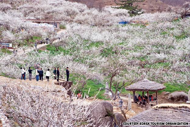 대한민국에서 가장 사진이 잘 받는 아름다운 관광명소 Top22 | 인스티즈