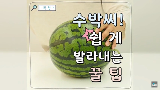 수박의 계절 여름.. 수박씨 쉽게 발라 먹는 방법 🍉 | 인스티즈